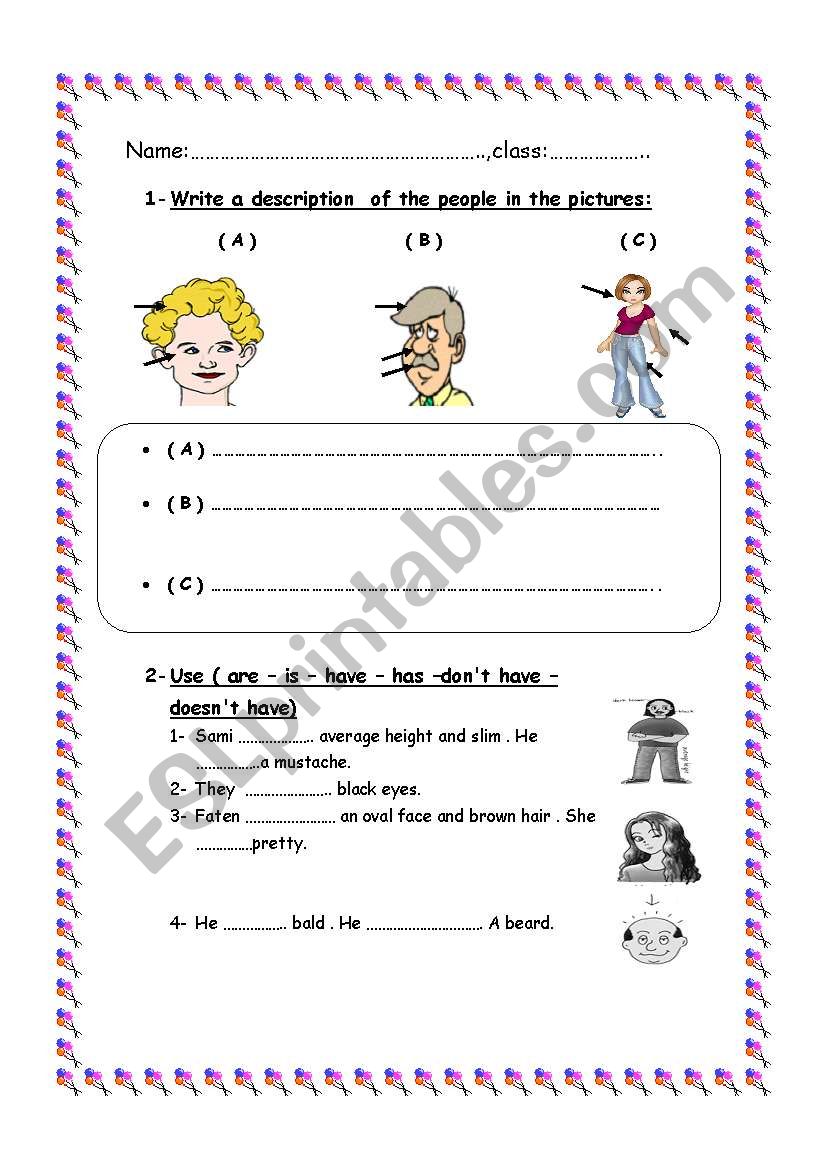 physical description worksheet