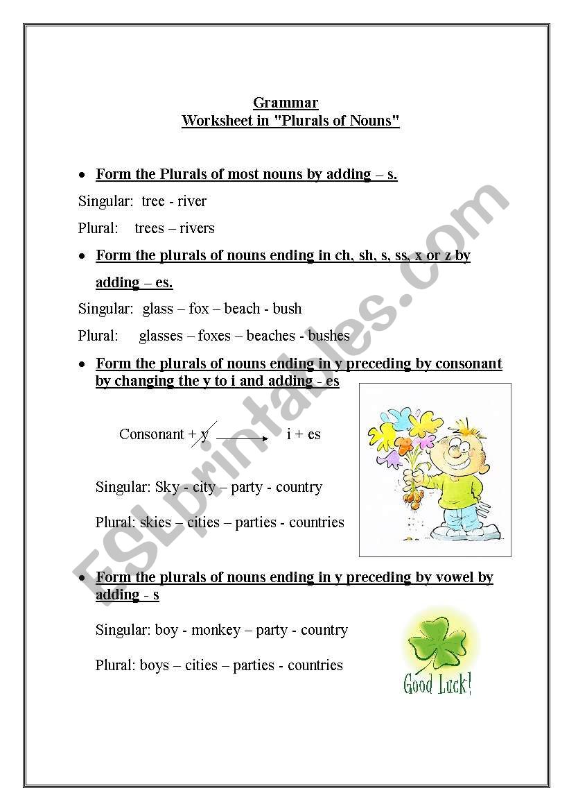 Plural and Singular worksheet