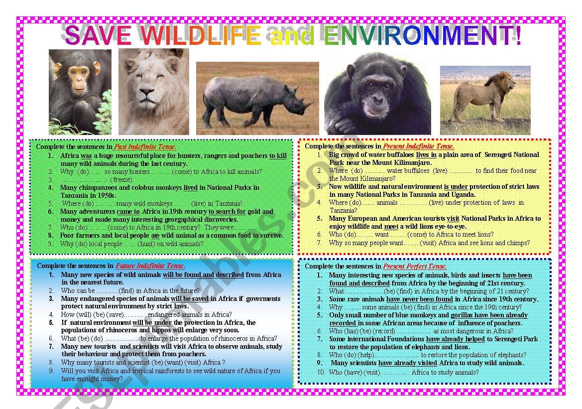 Save Wildlife and Environment in Africa! Grammatical forms.