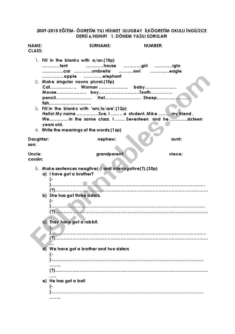 beginners test (6th grade) worksheet