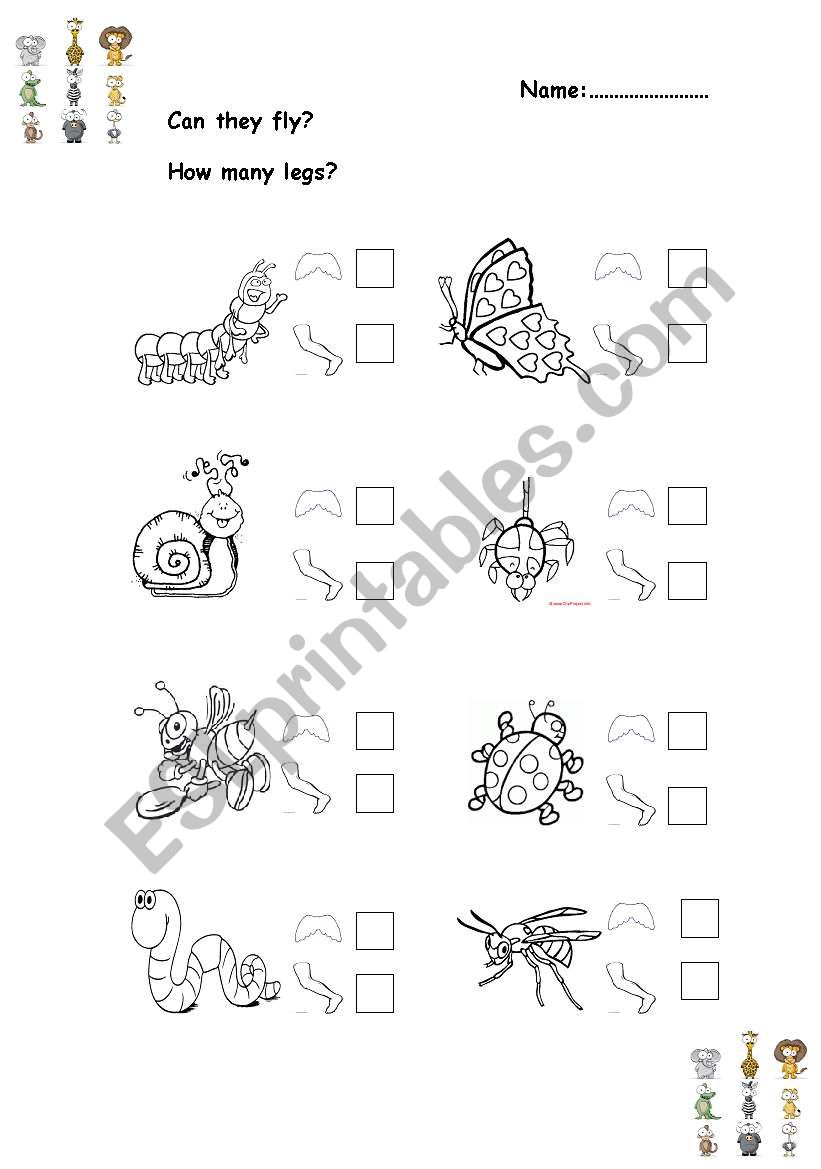 Animals worksheet