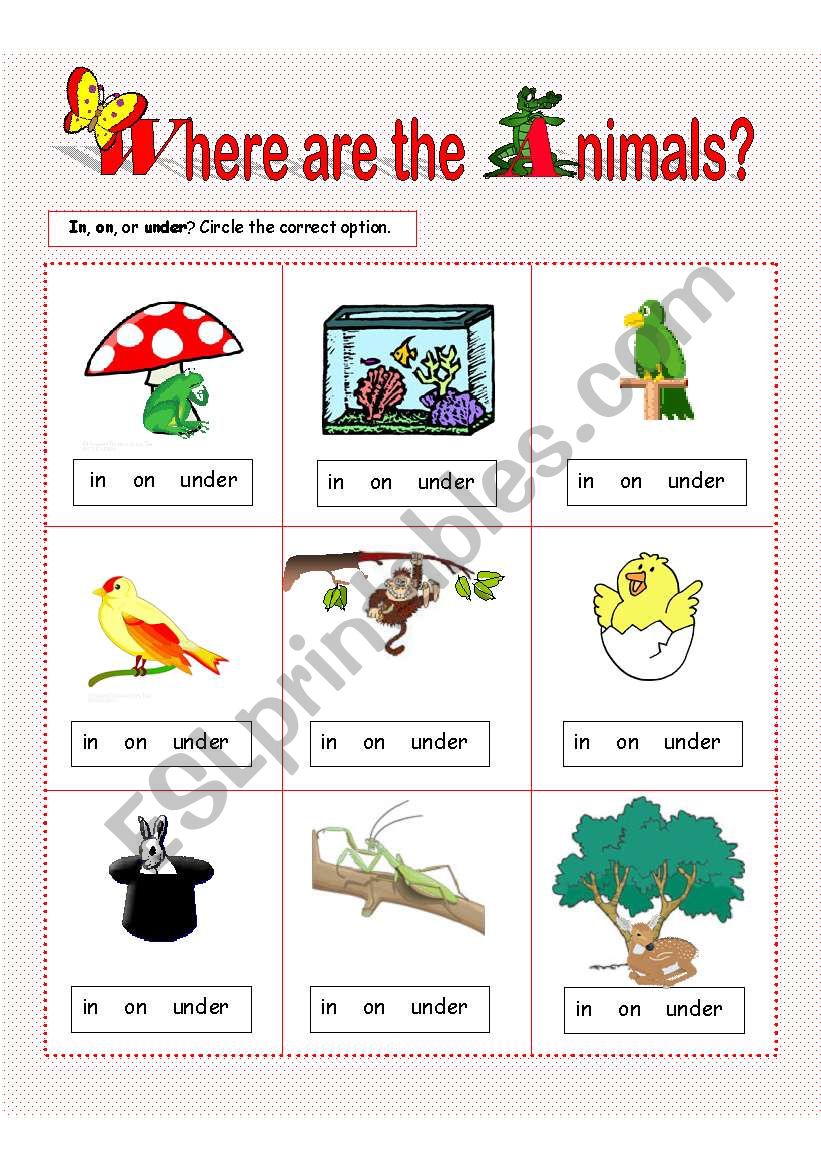 Prepositions of Place: in, on, under