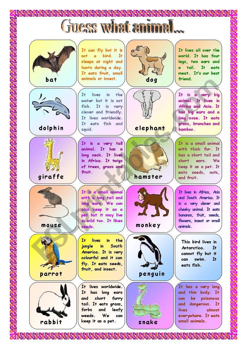 Animal continuous. Животное present simple. Guess what Worksheets. Present simple and animals ответы. What animal is it Worksheets.