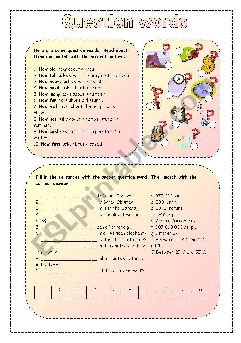 question words worksheet