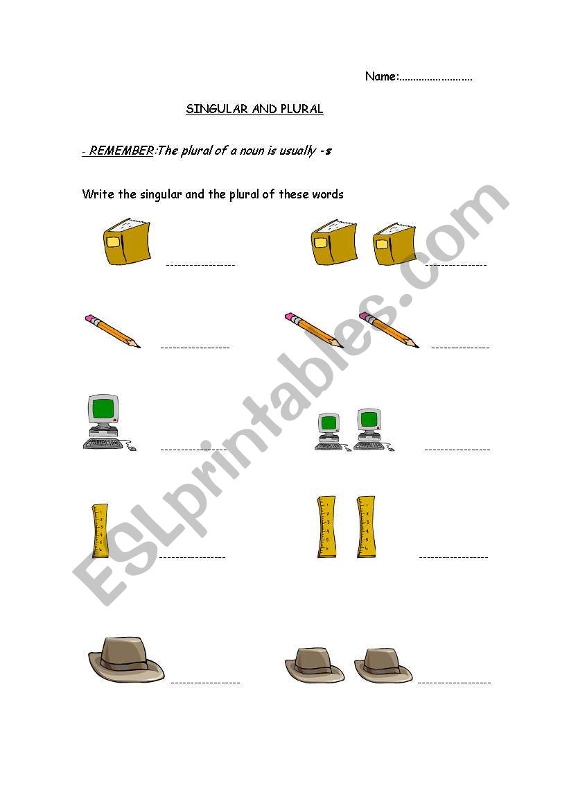 Singular or plural worksheet