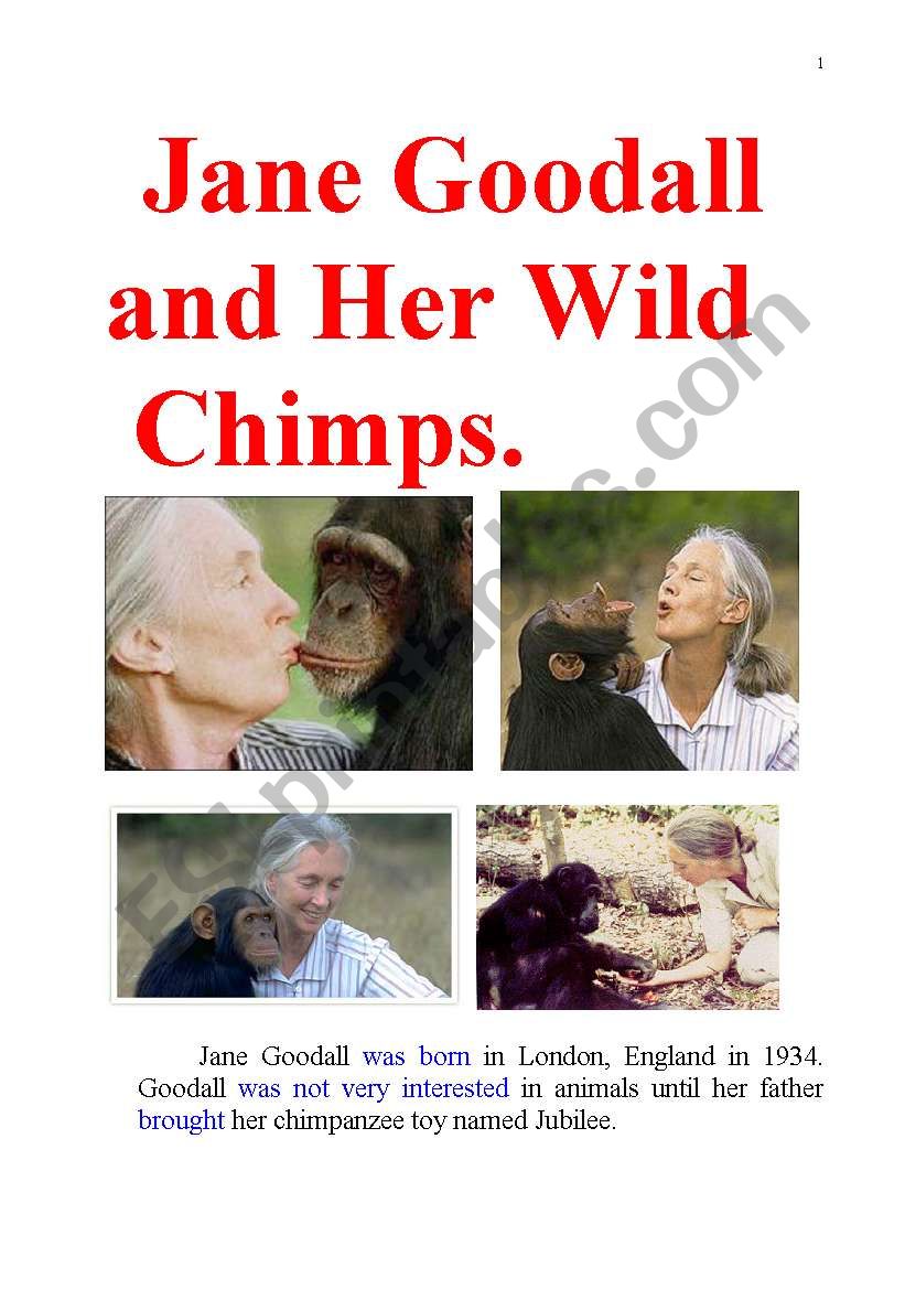 Jane Goodall and Her Wild Chimpanzees. Famous Biography.
