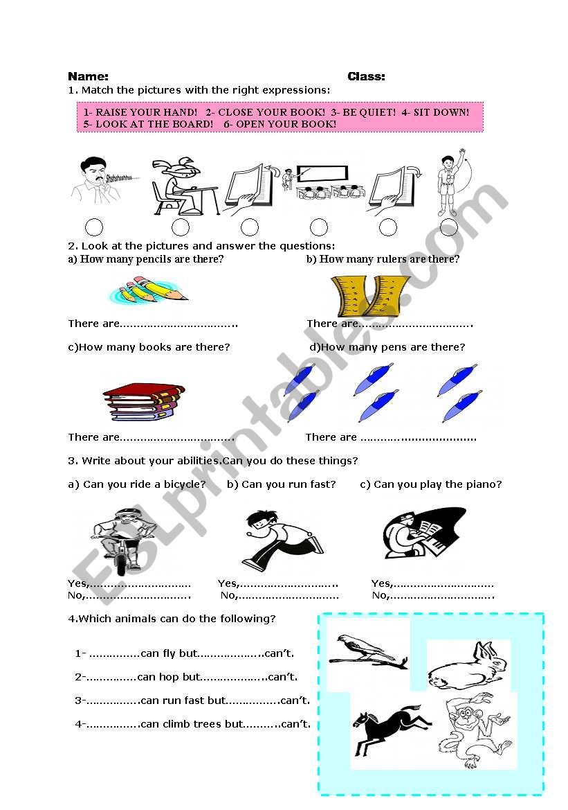 quiz worksheet