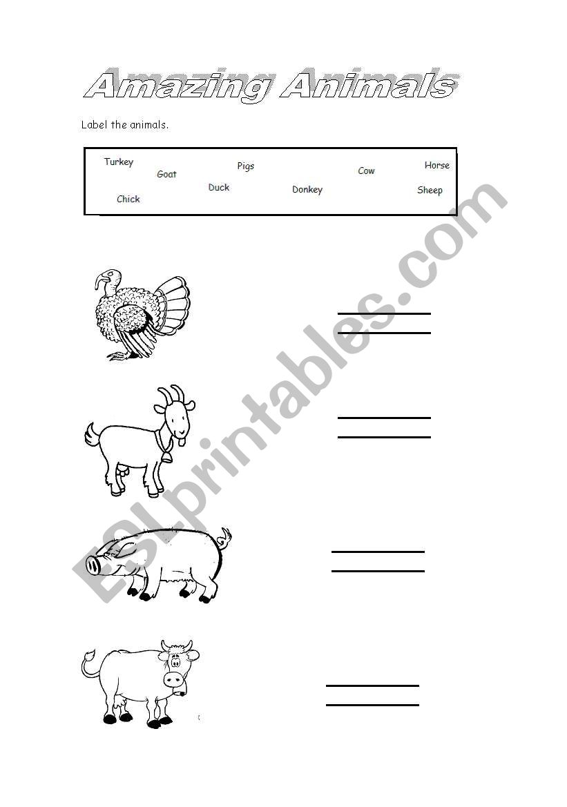 Amazing animals worksheet