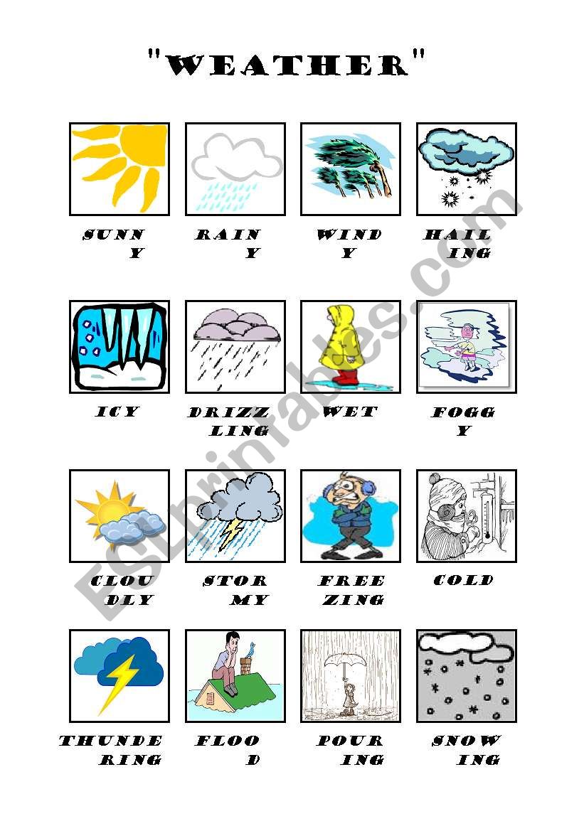 Weather worksheet