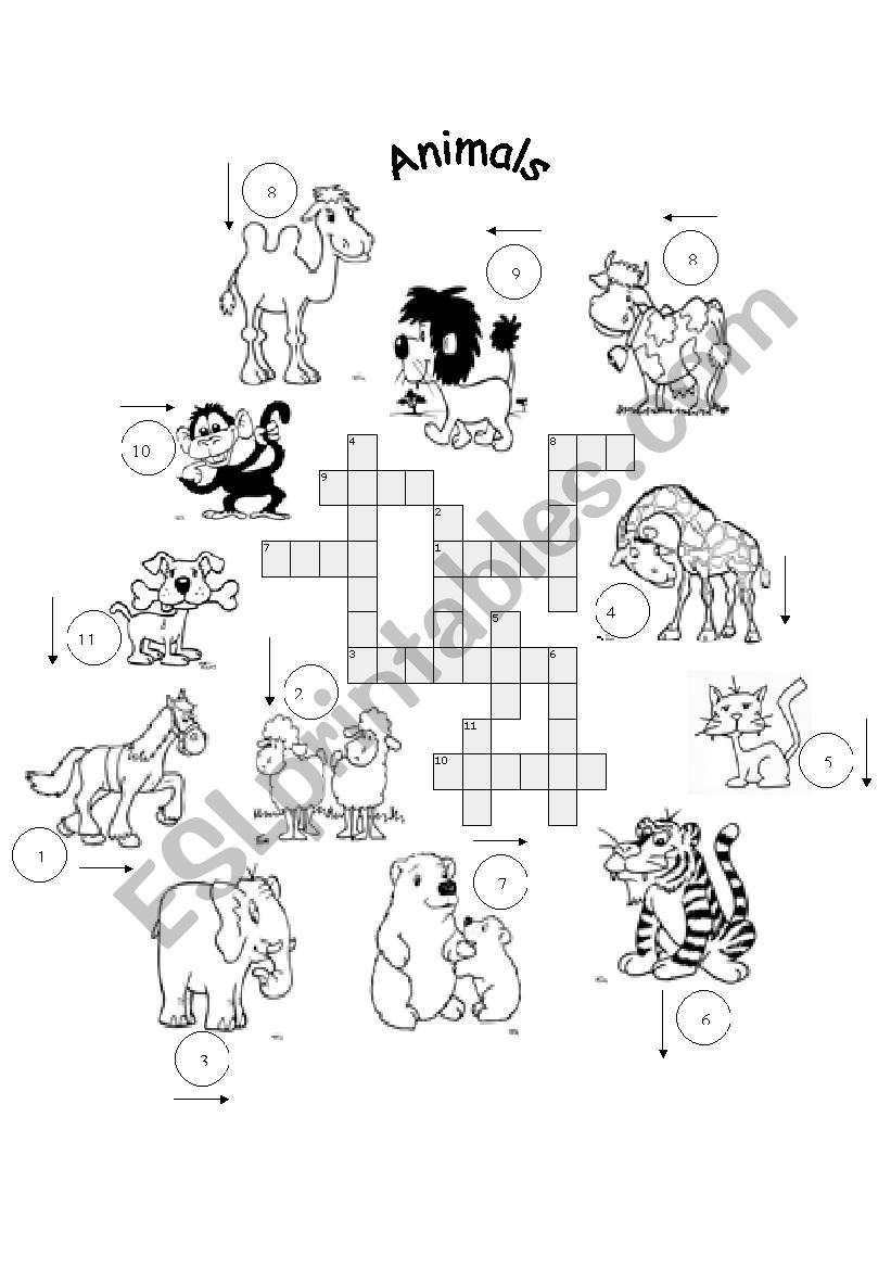 FOR BEGINNERS: animals crosswords