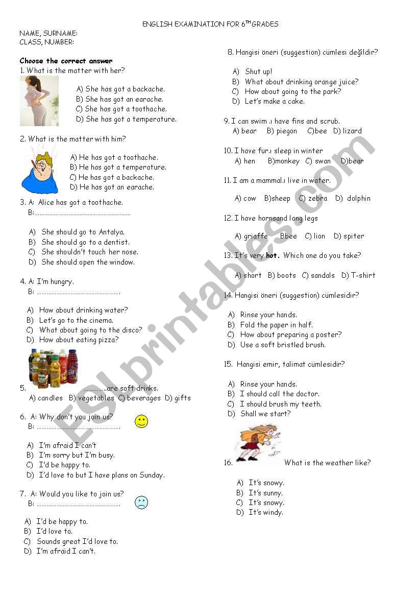 illness and weather condition worksheet
