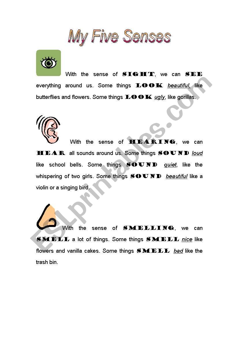 My Five Senses worksheet