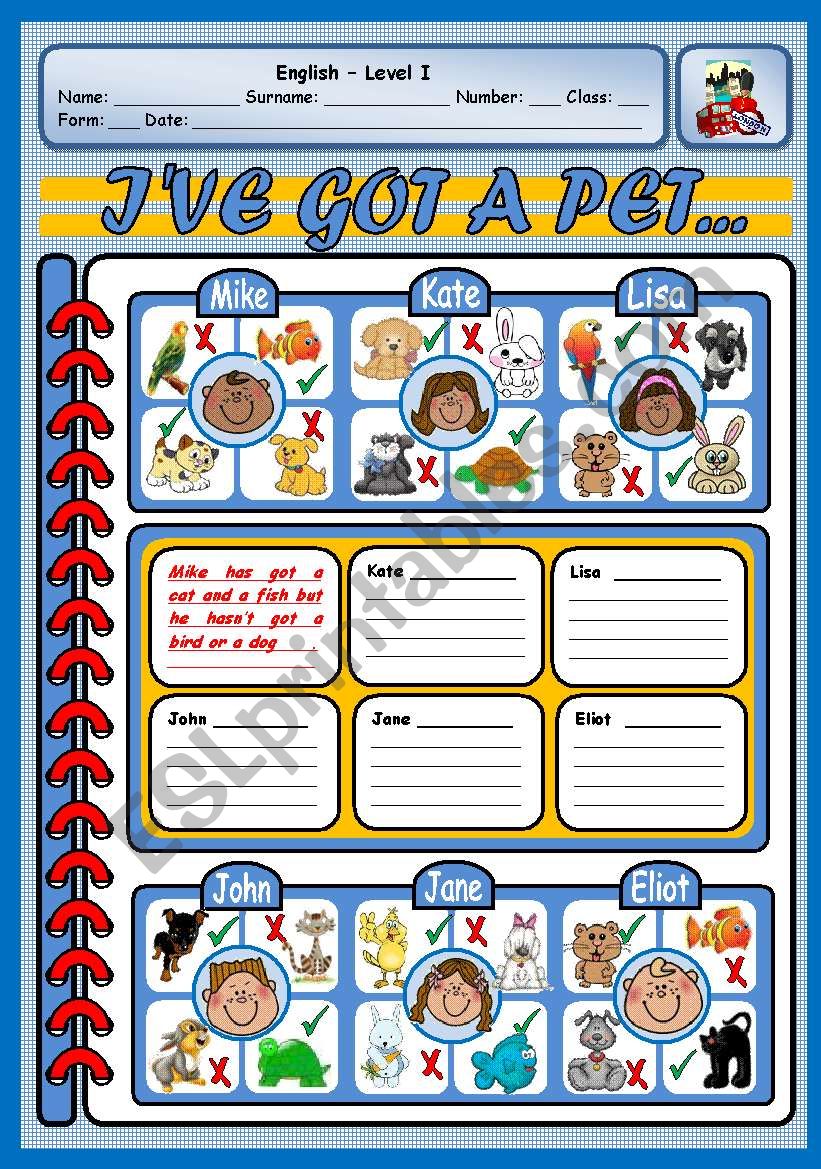 IVE GOT A PET worksheet