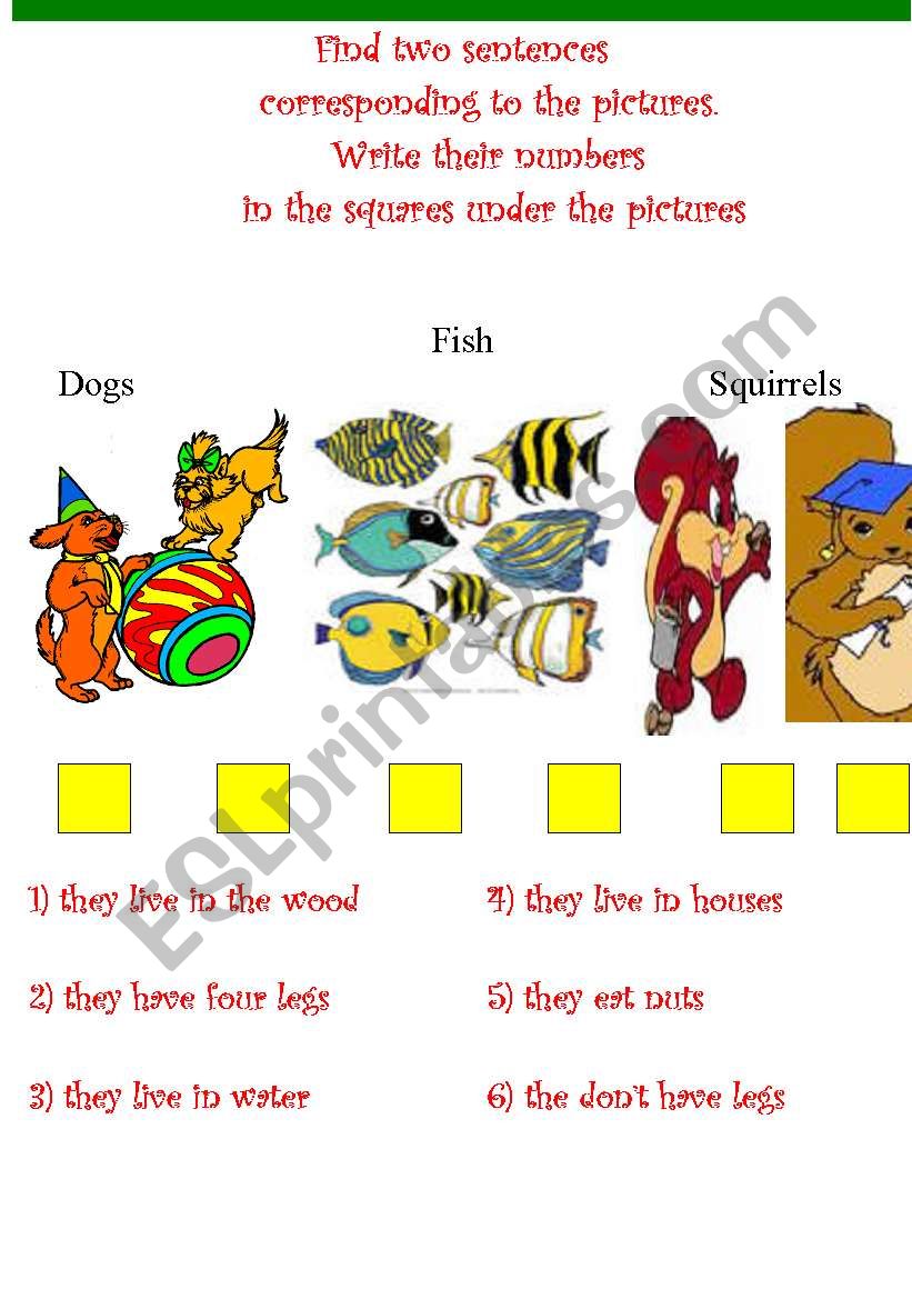 Animals worksheet