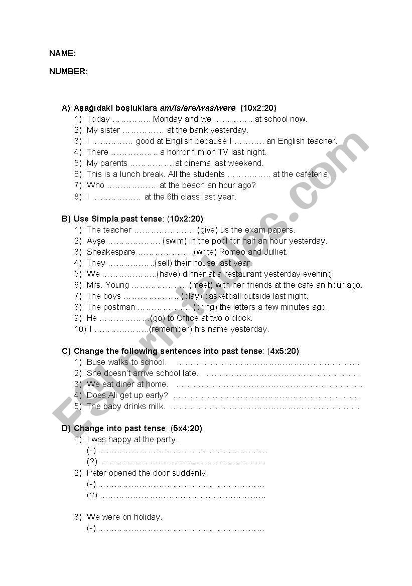 PAST TENSE EXAM worksheet