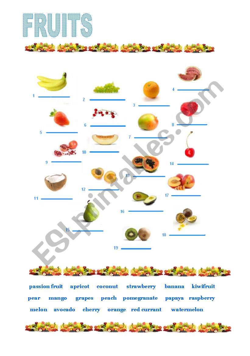 FRUITS worksheet