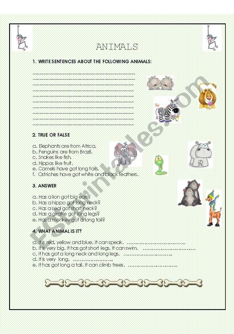 ANIMALS worksheet