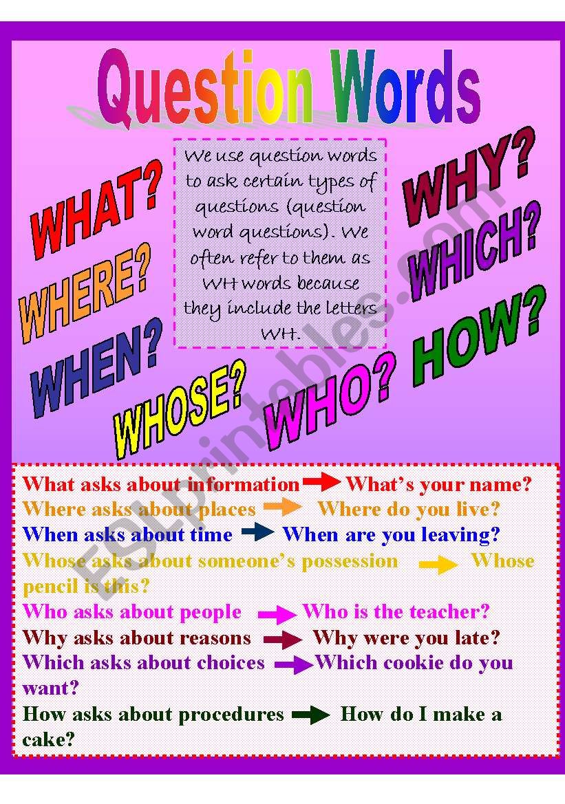 question words with exercises worksheet