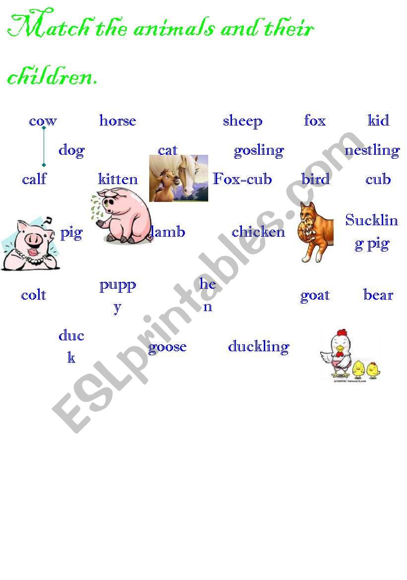 Animals and their children worksheet