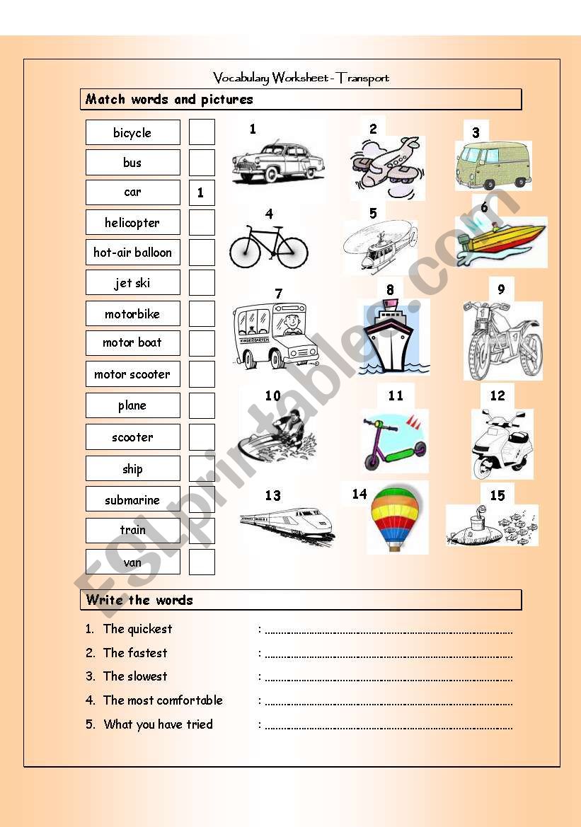 Vocabulary Matching Worksheet - Transport