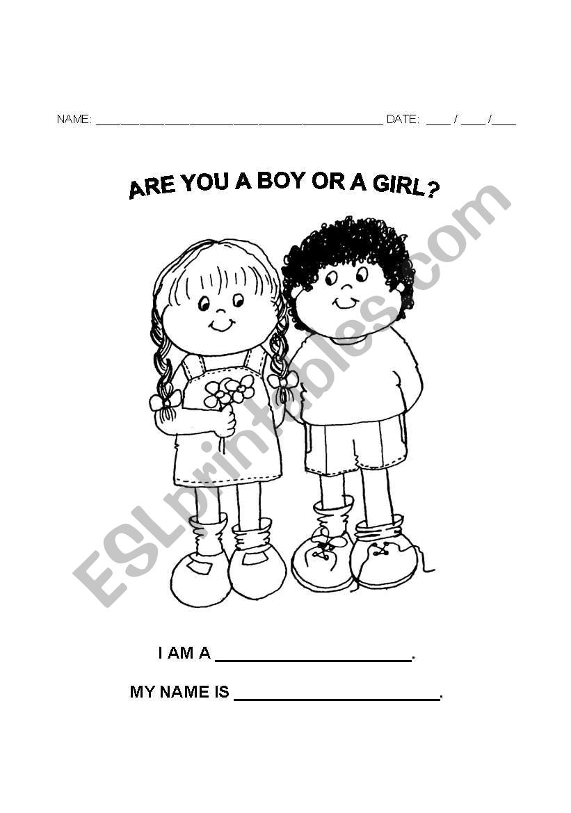 Boy or Girl? worksheet