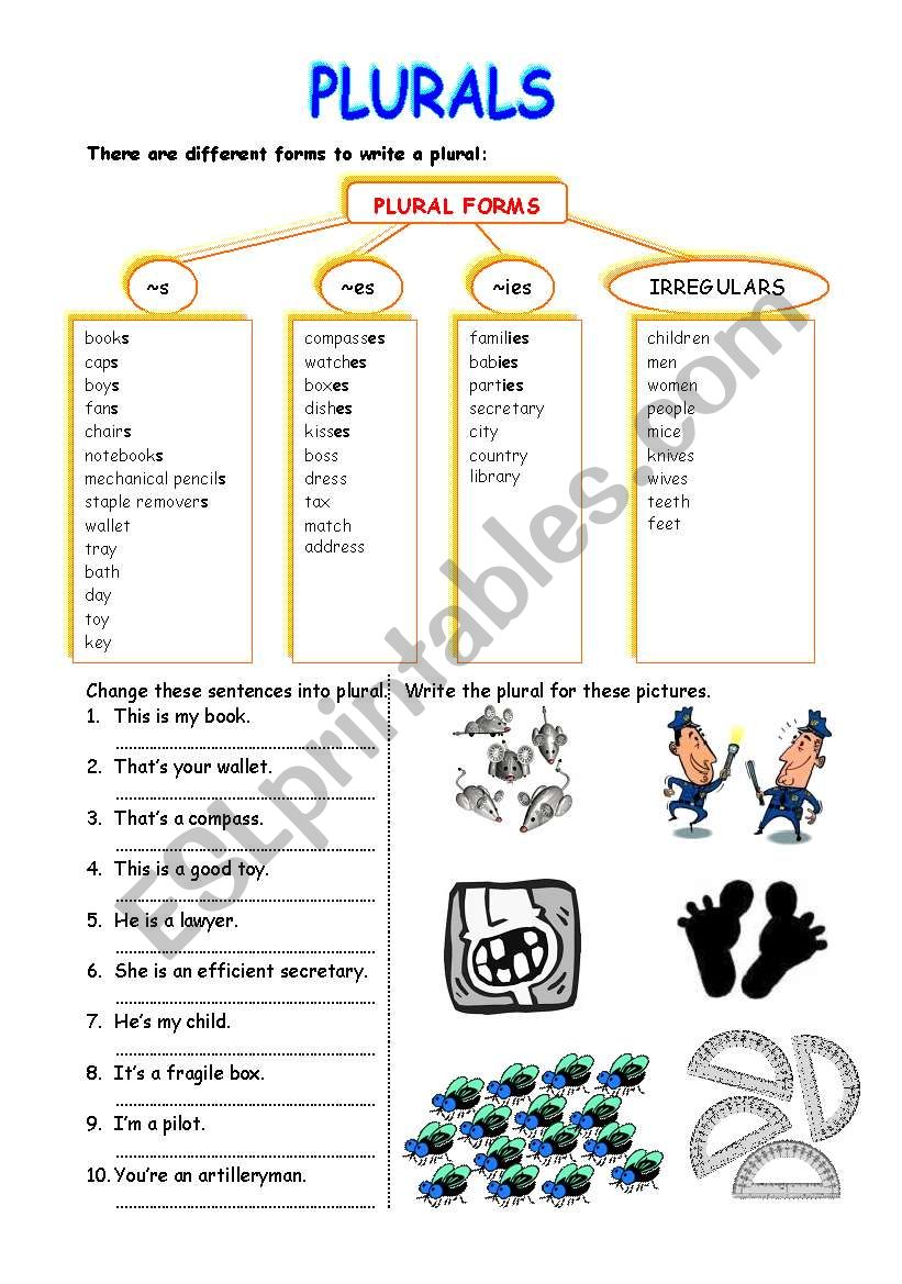 Plurals worksheet