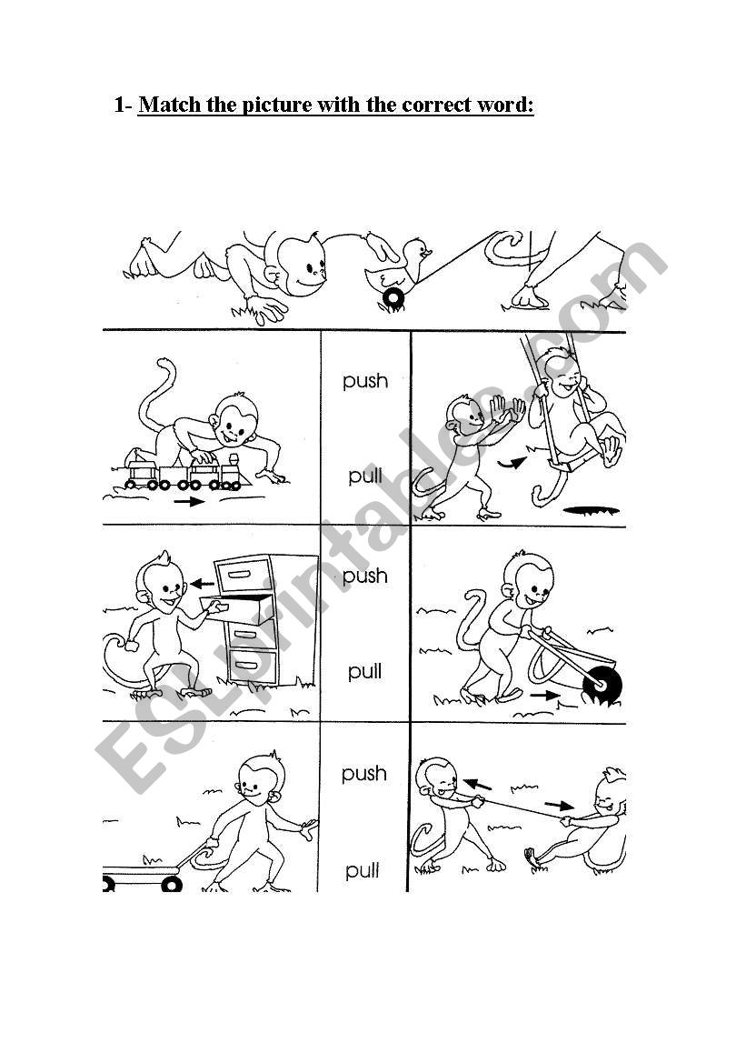 forces and movements worksheet