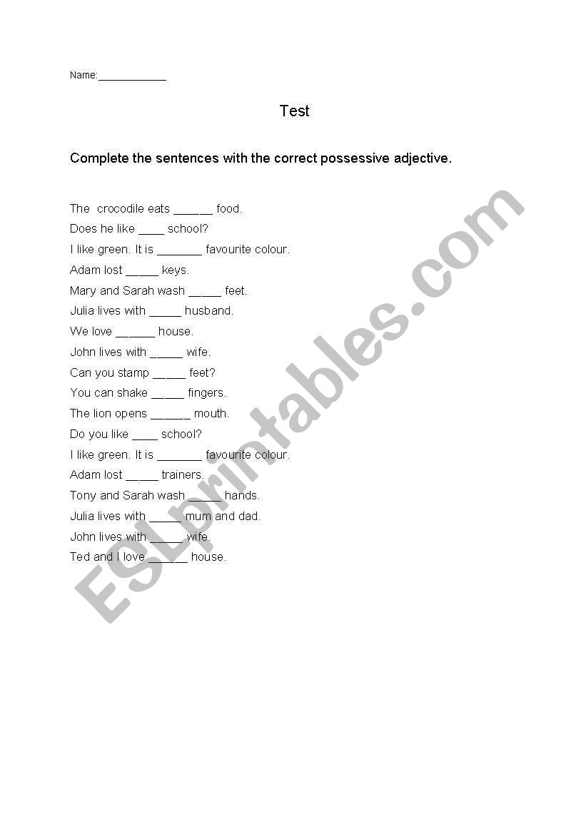 test possessive adjectives worksheet