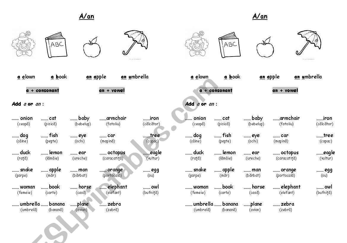 Indefinite Articles worksheet