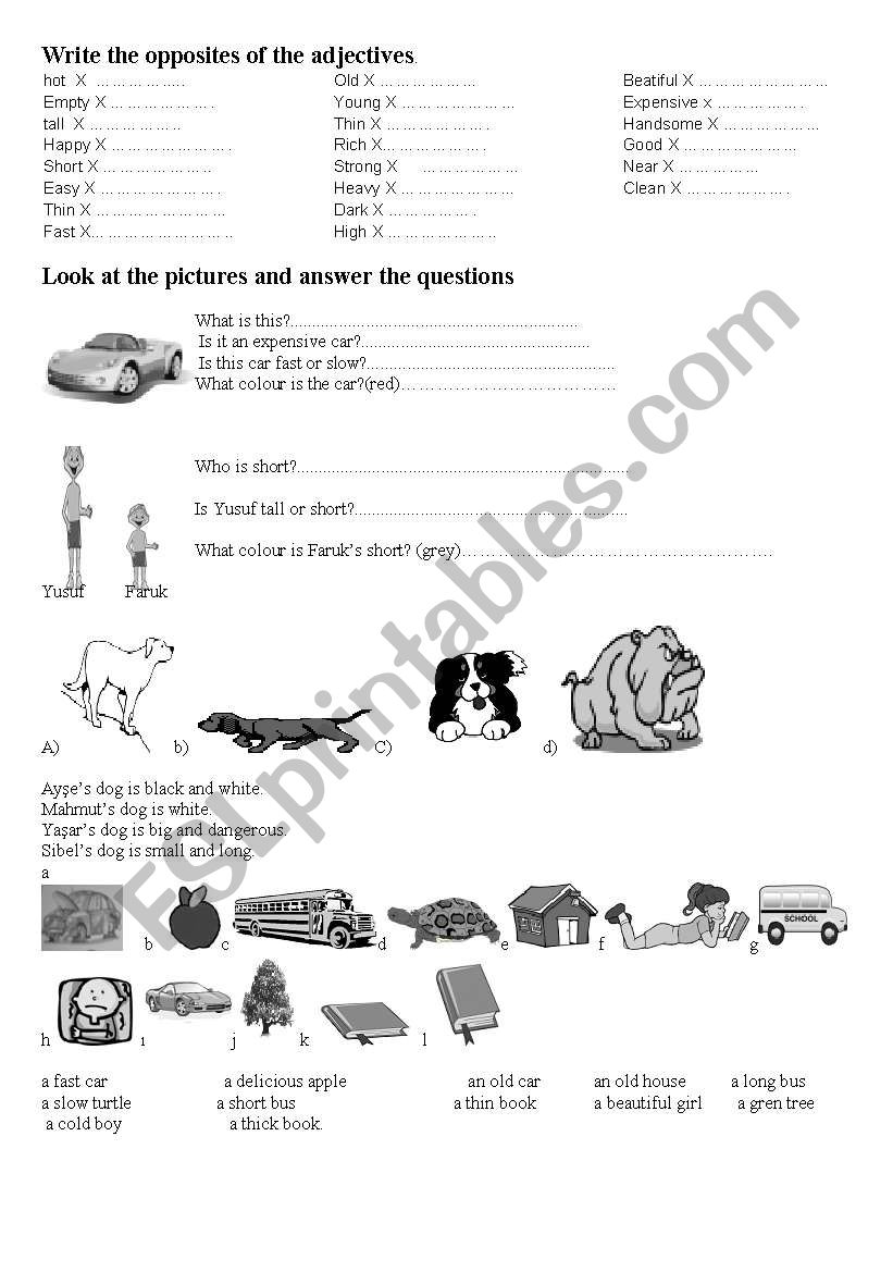 adjectives worksheet