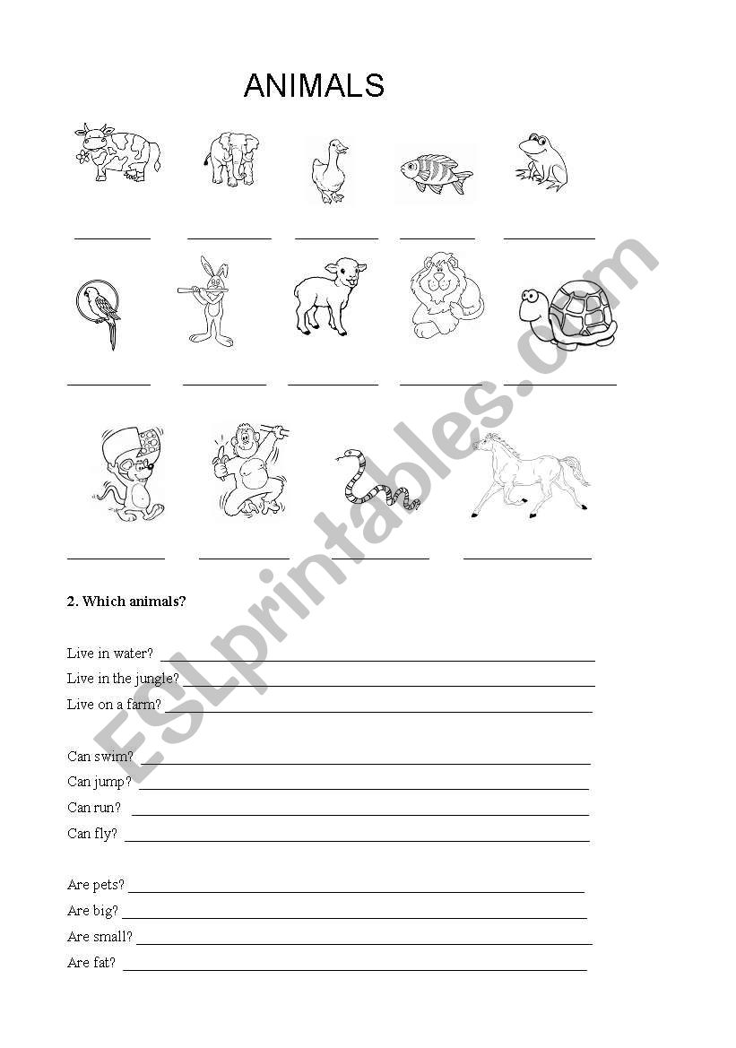 animals worksheet