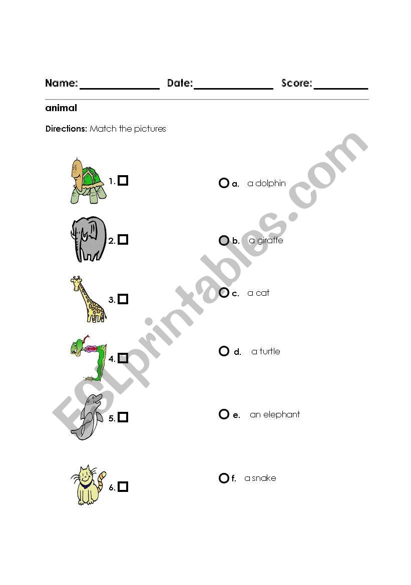 Animals worksheet