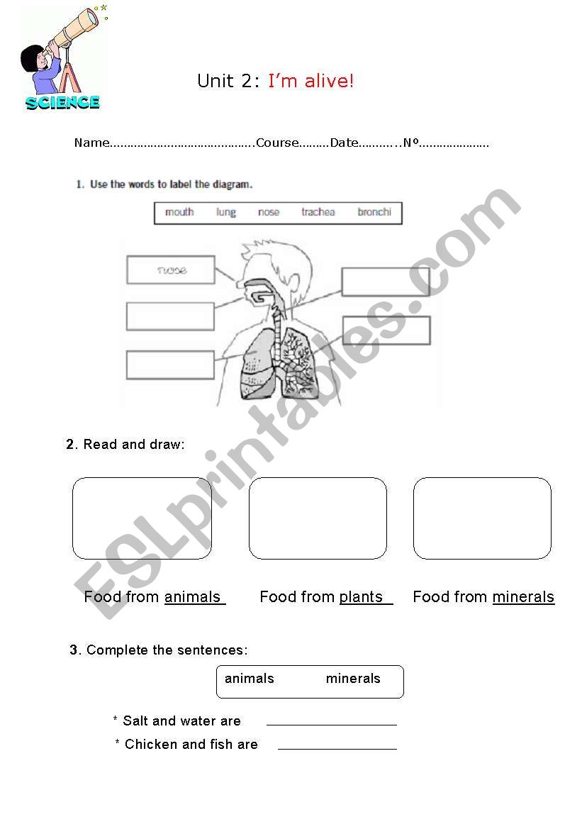 Im alive review worksheet