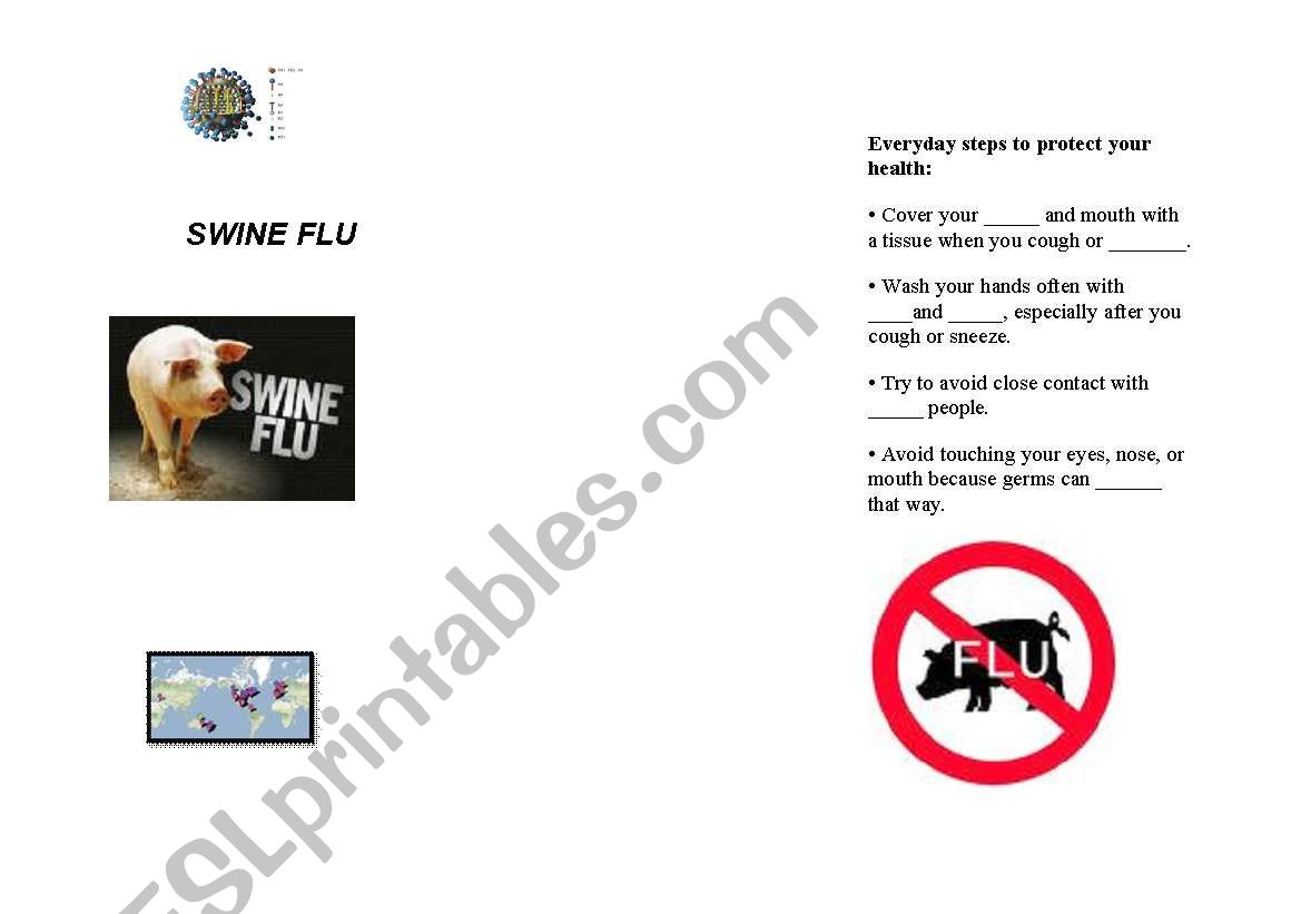 brochure about swine flu worksheet