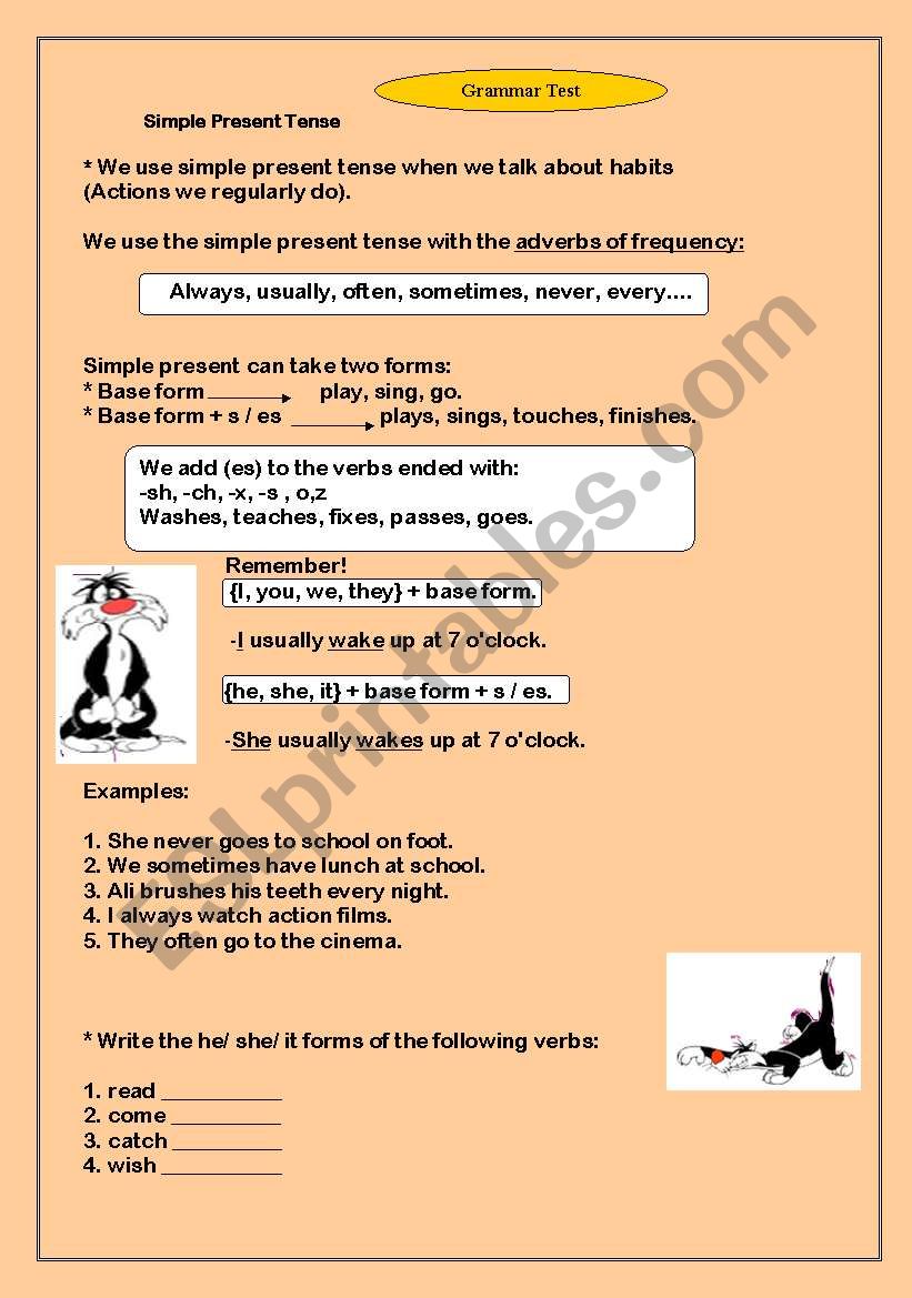 present simple test  worksheet