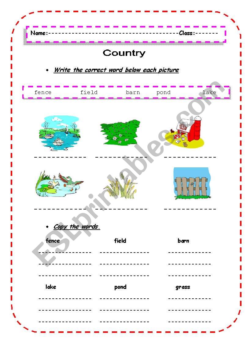 City and Country worksheet