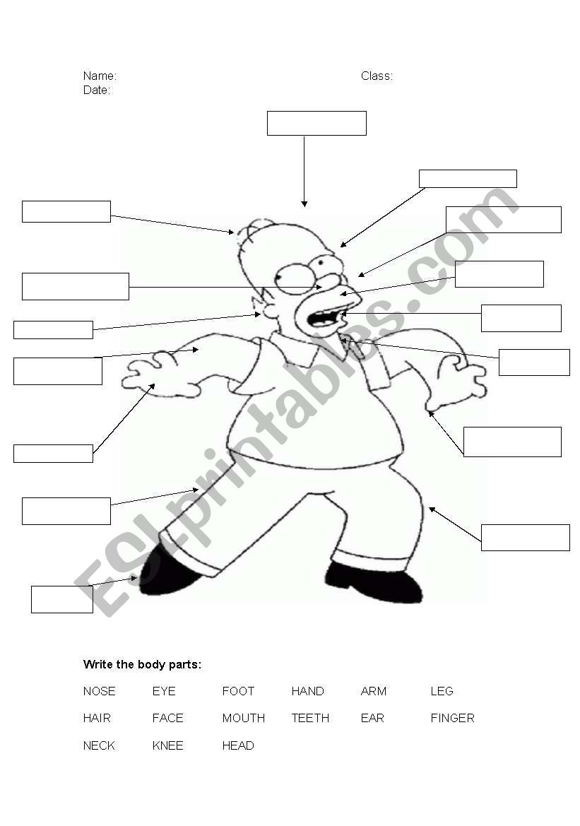 BODY PARTS worksheet