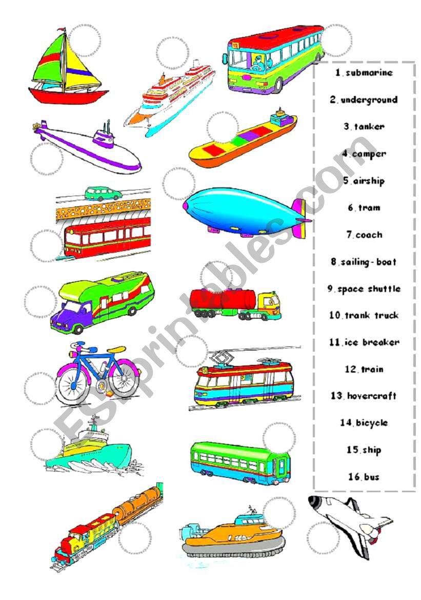 Transport worksheet