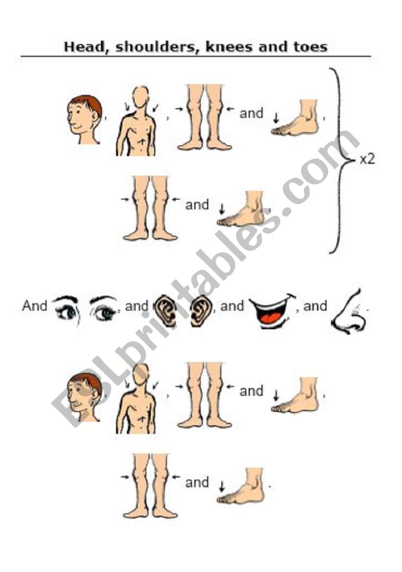 Head shoulders knees and toes worksheet