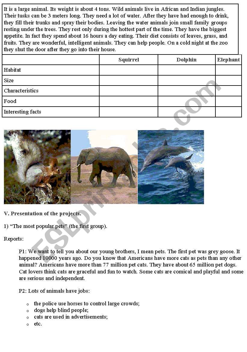 Animals in our life. part 2. worksheet