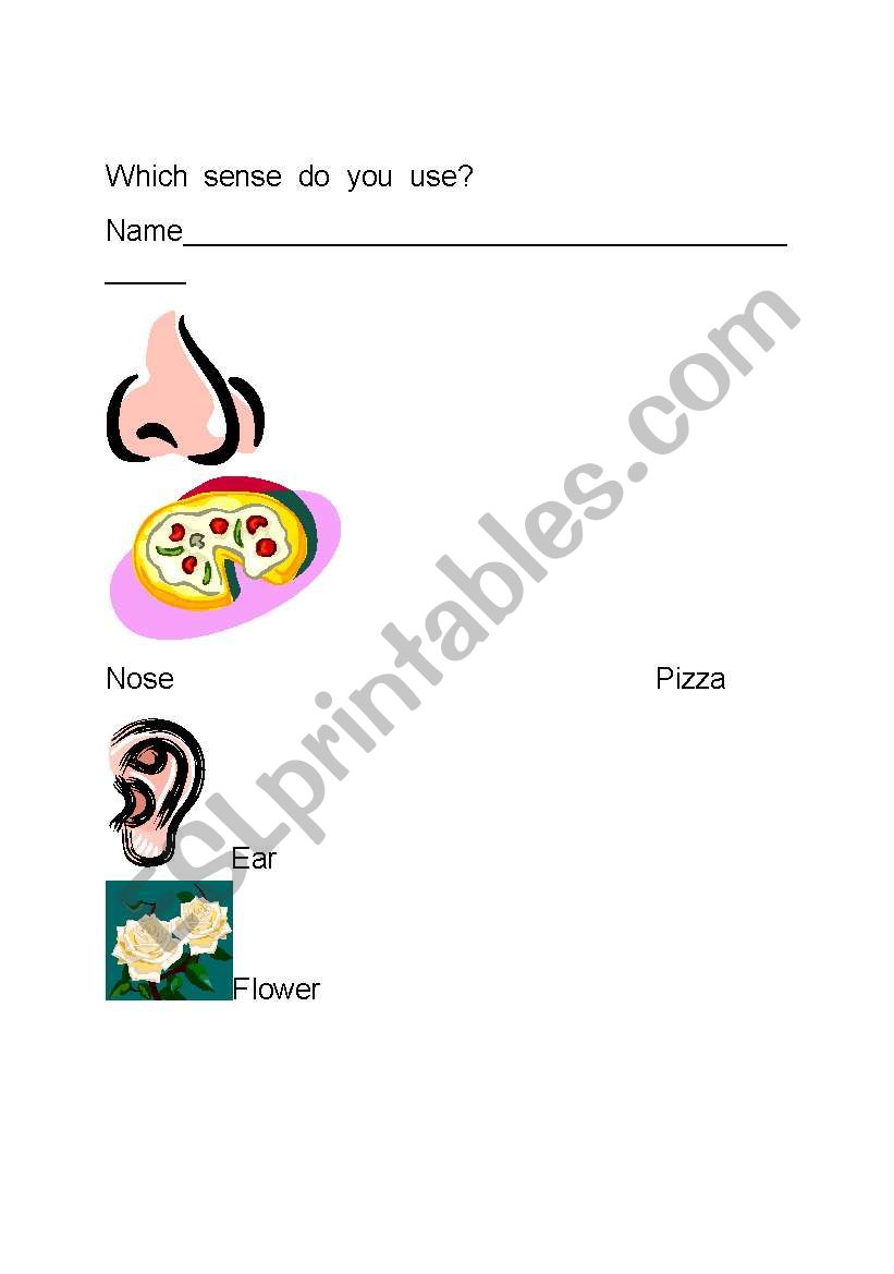 5 senses worksheet