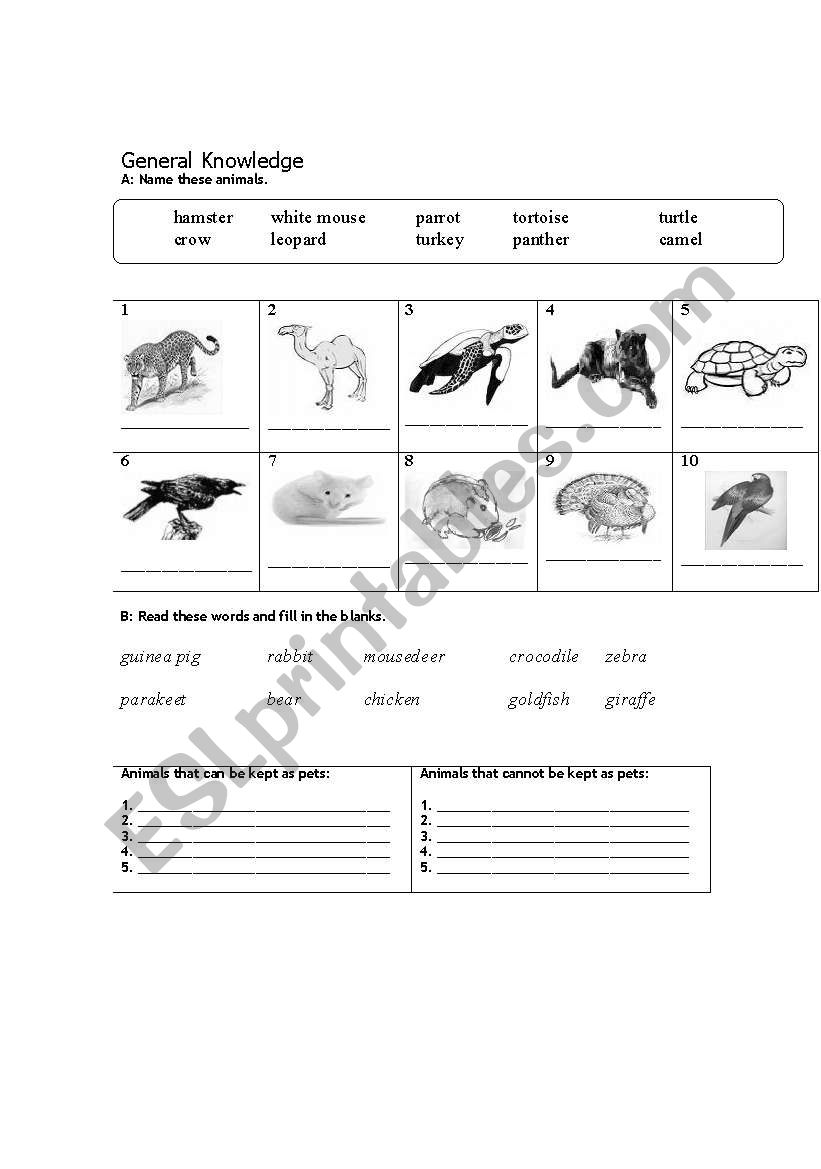 General Knowledge - Animal worksheet