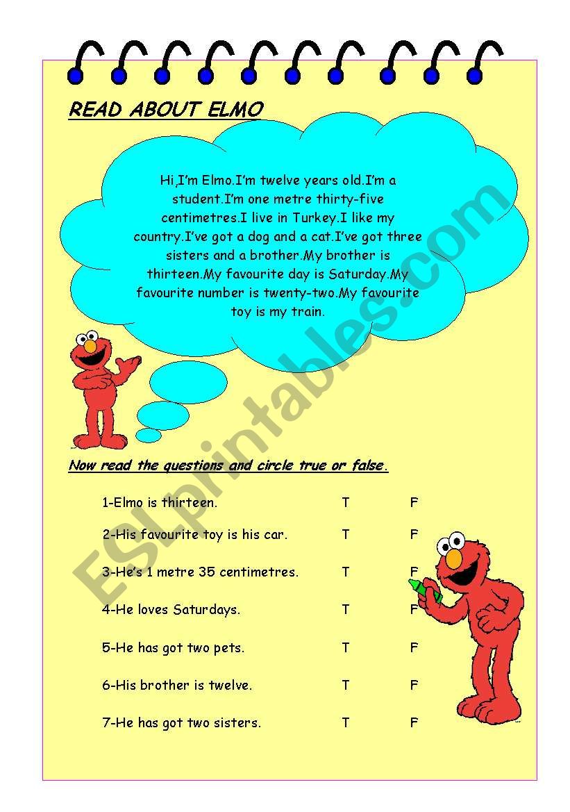 true false reading worksheet