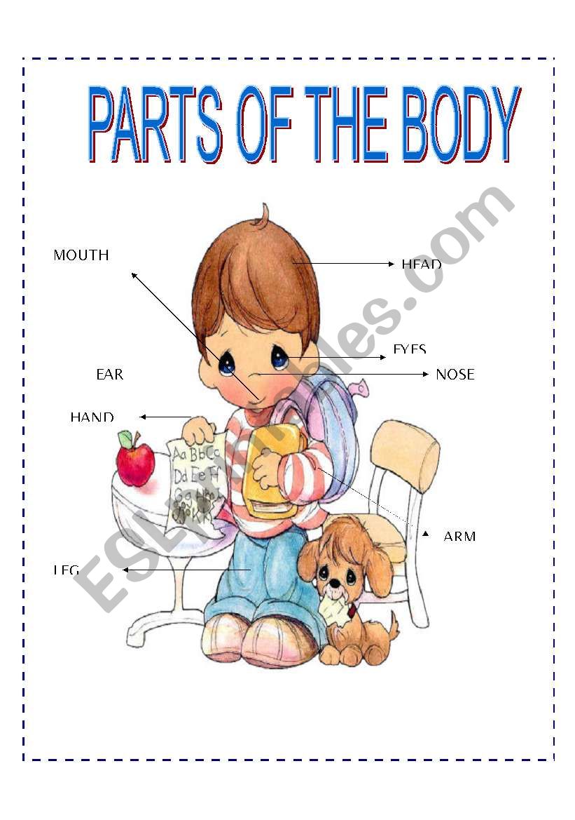 parts of the body worksheet