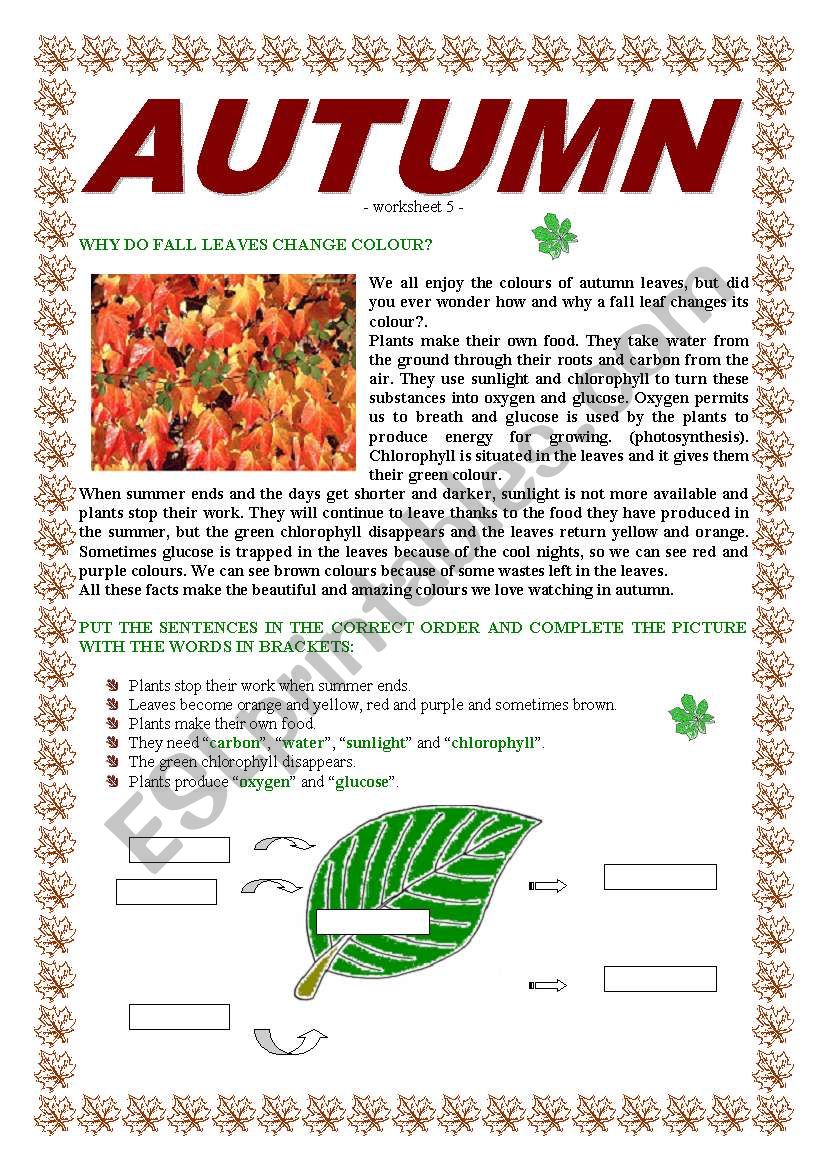 AUTUMN worksheet