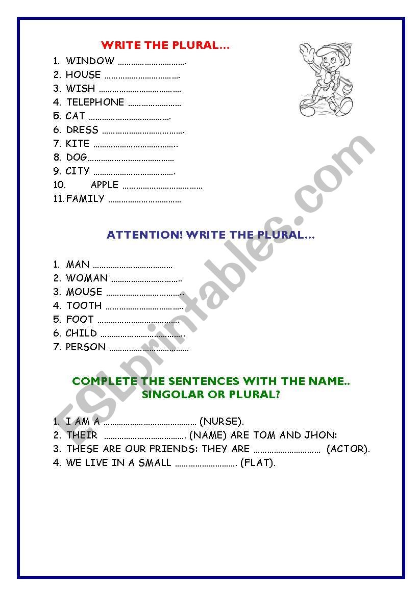 WRITE THE PLURAL worksheet