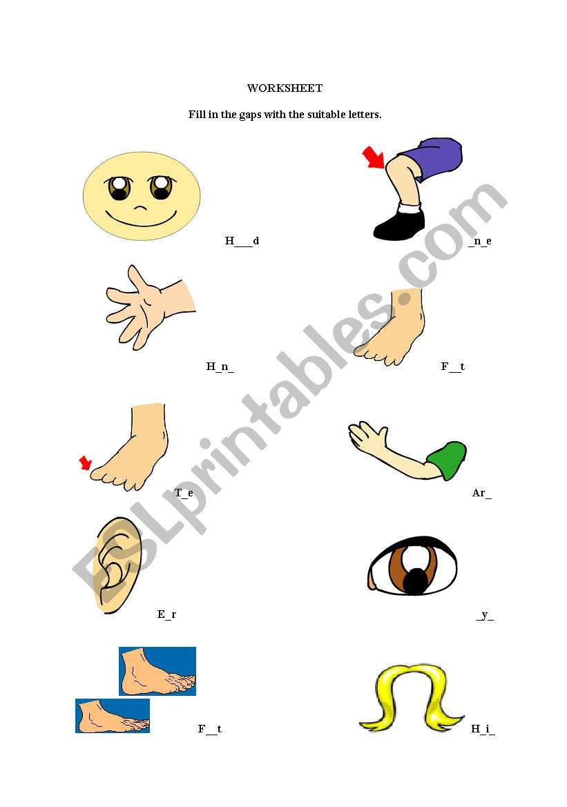 body parts worksheet