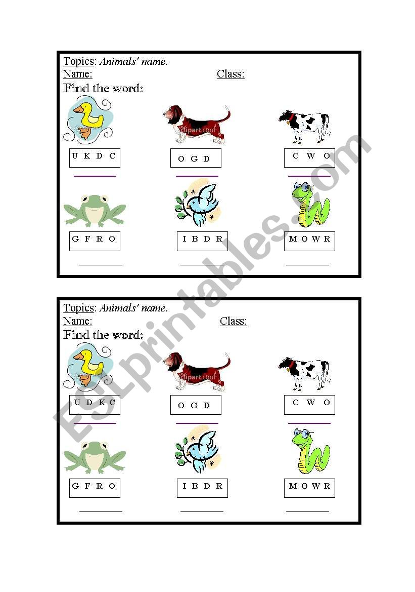 animal worksheet