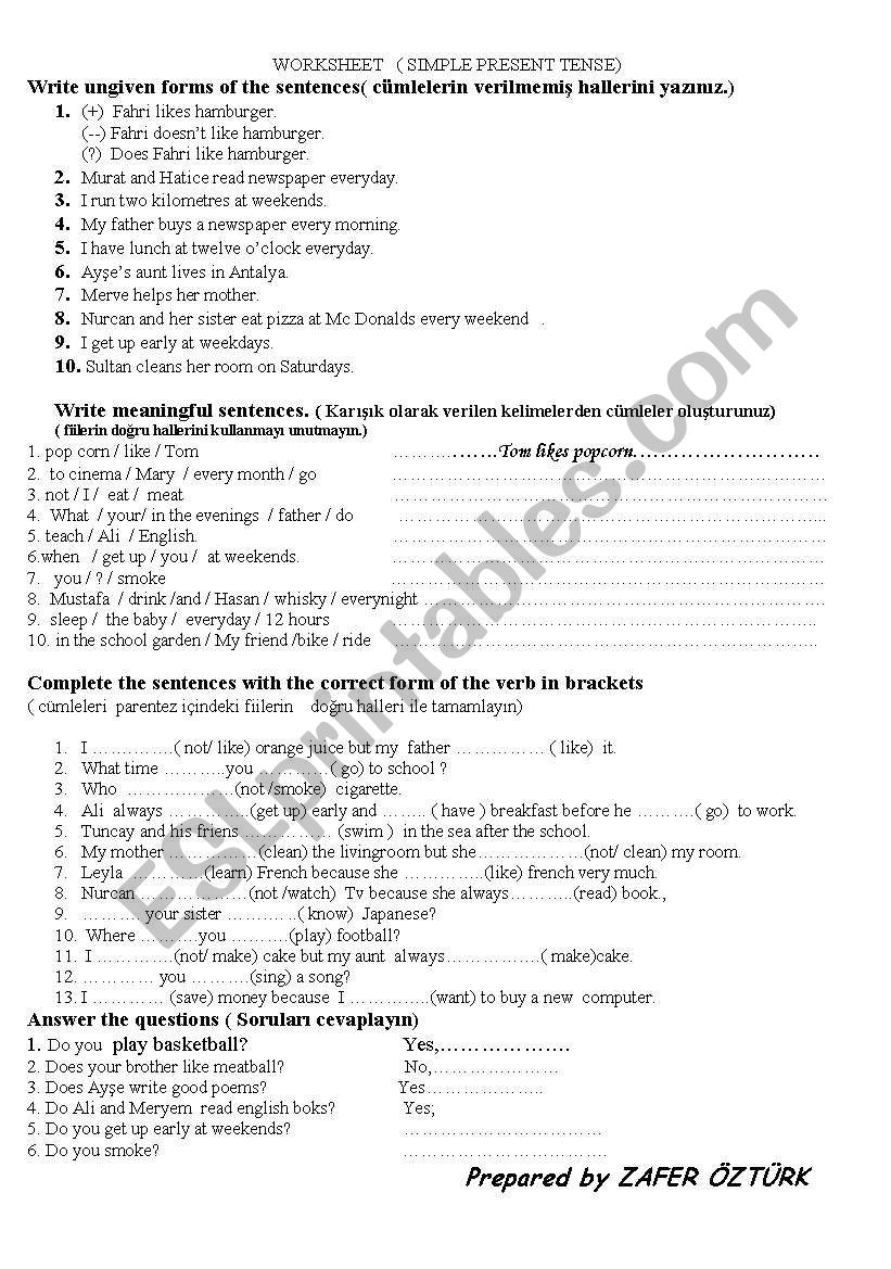 present simple worksheet worksheet