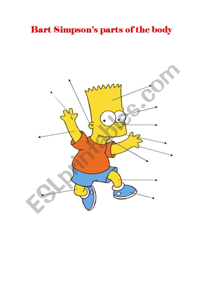 Bart Simpsons parts of the body